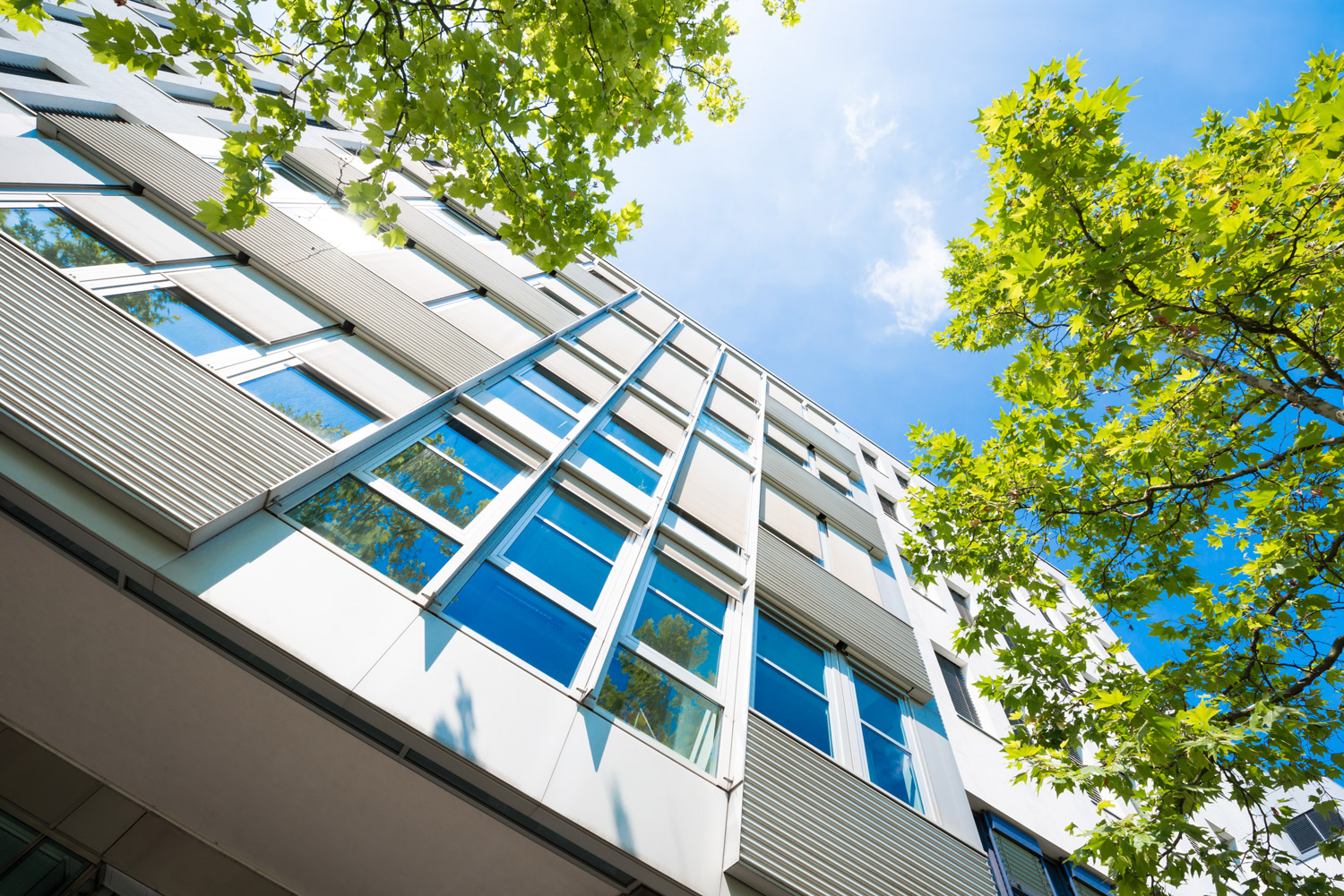 Wohnimmobilienverwalter - im Dienste der Wohnungseigentümer sowie der ...