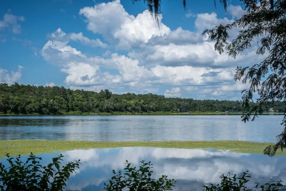 Tallahassee to Lexington Road Trip Section Image