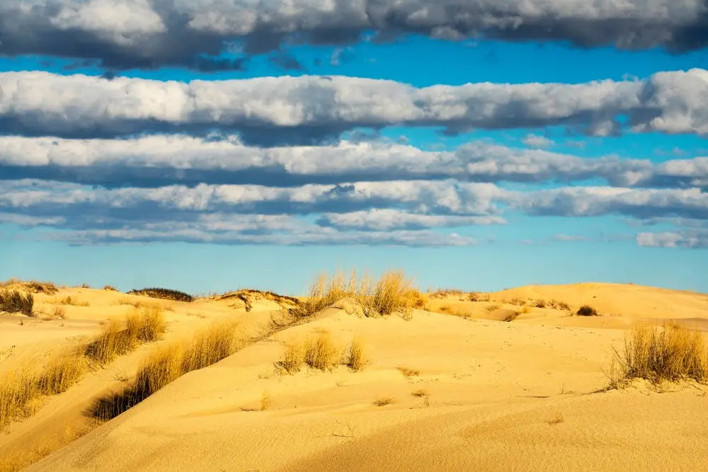 Talladega to El Paso Road Trip Section Image