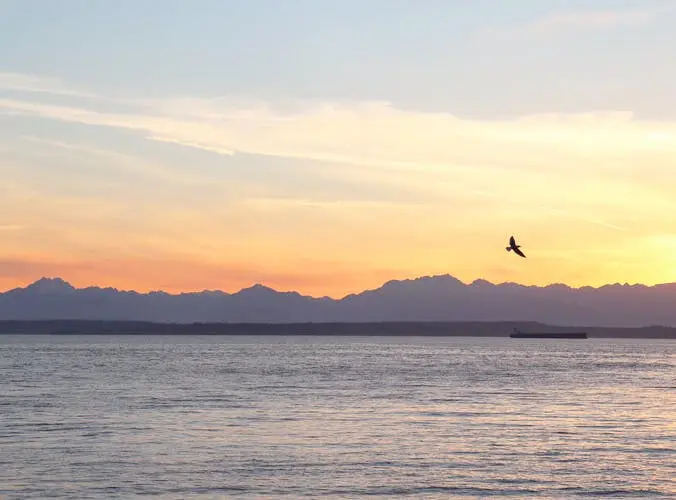 Las Vegas to Seattle Road Trip Section Image