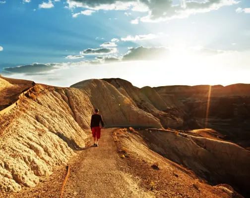 Petrified Forest National Park Hiking Trails