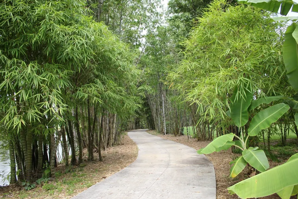 Miami to Siesta Key Road Trip Section Image