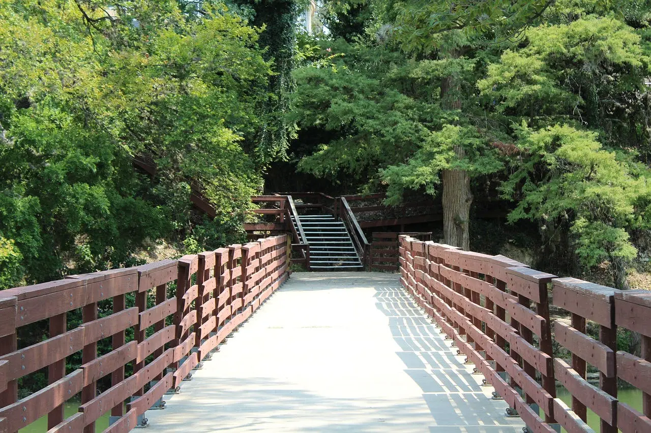 Houston to Dallas Road Trip Section Image