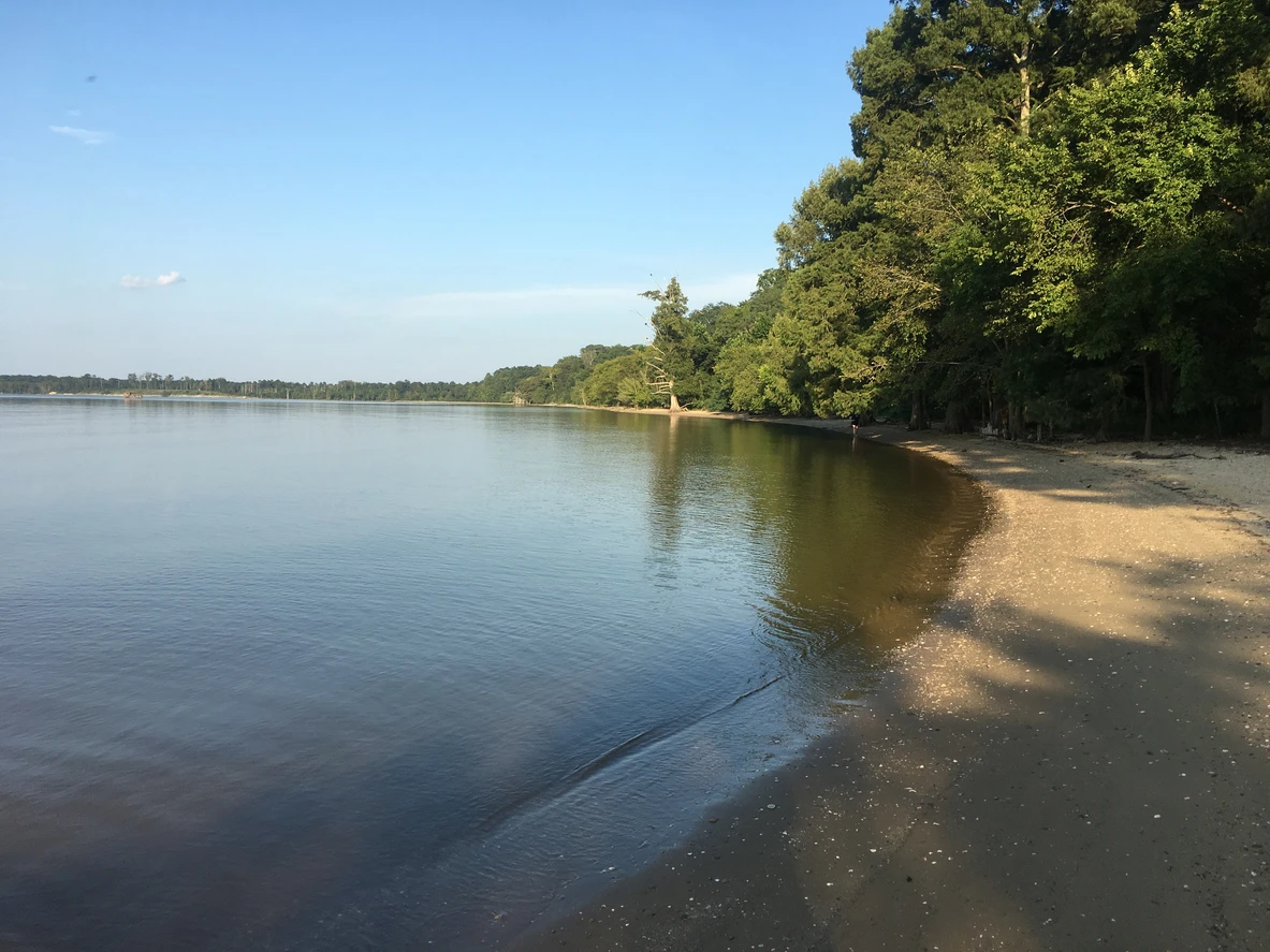 Chippokes Plantation State Park