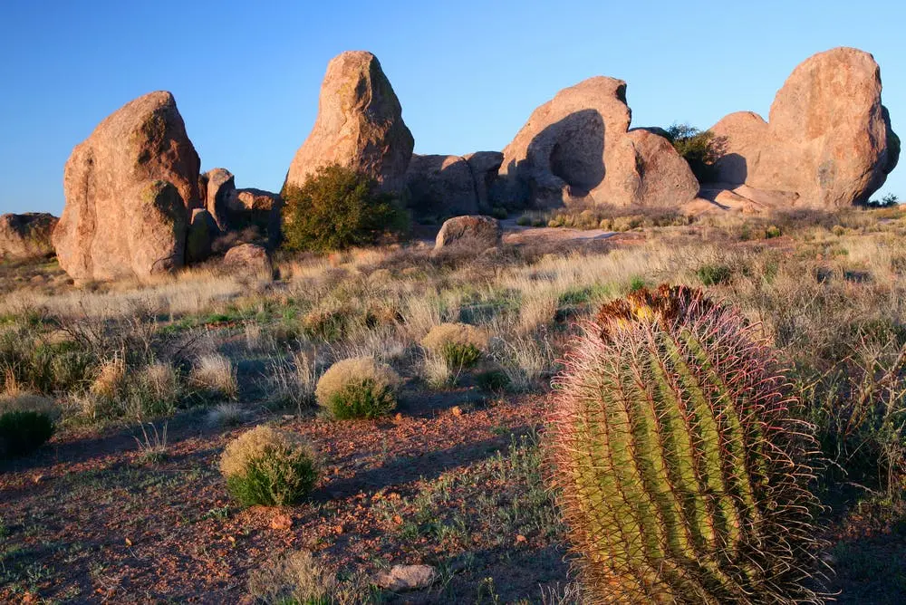 Los Angeles to Dallas Road Trip Section Image