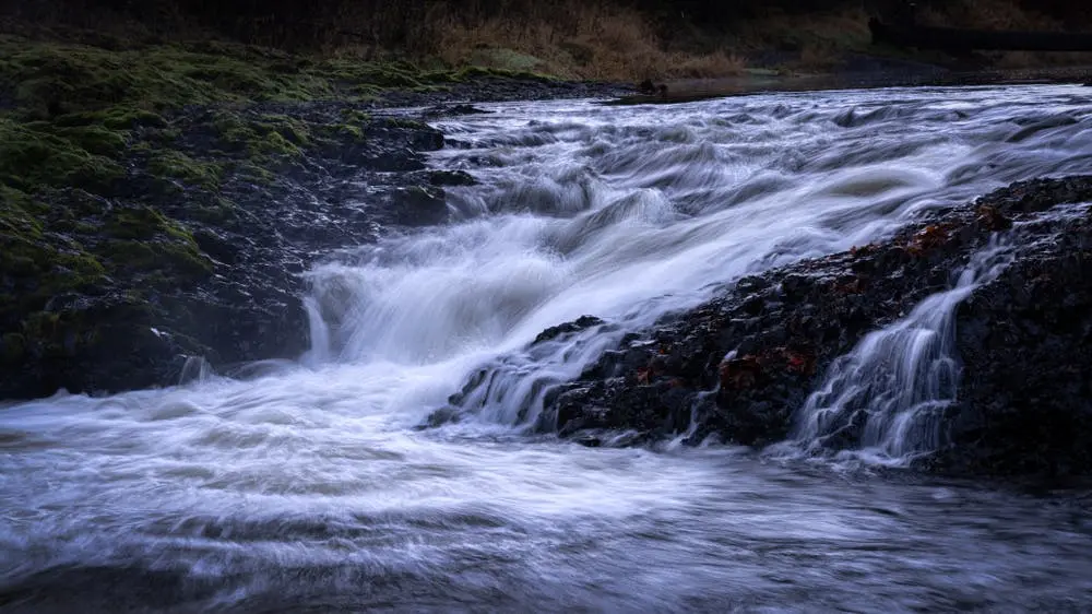 Seattle to Mount Hood National Forest Road Trip Section Image
