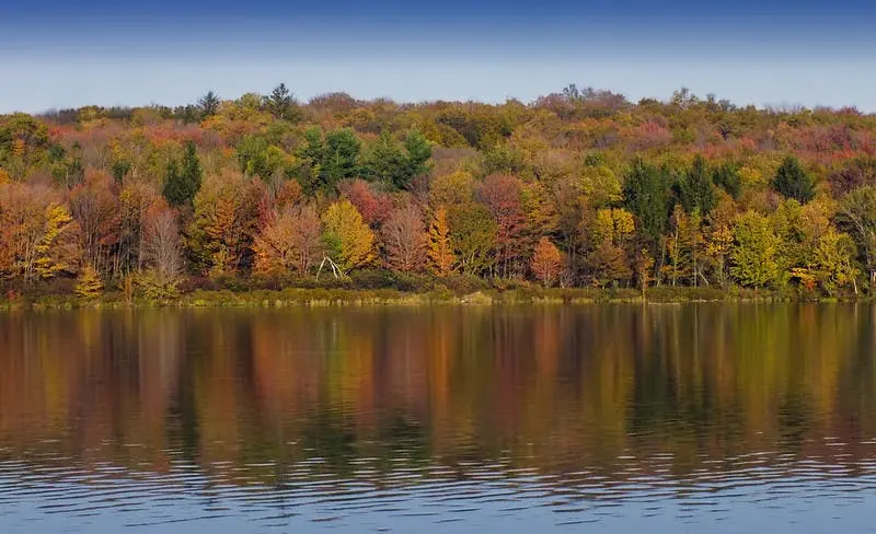 Dallas to New York Road Trip Section Image