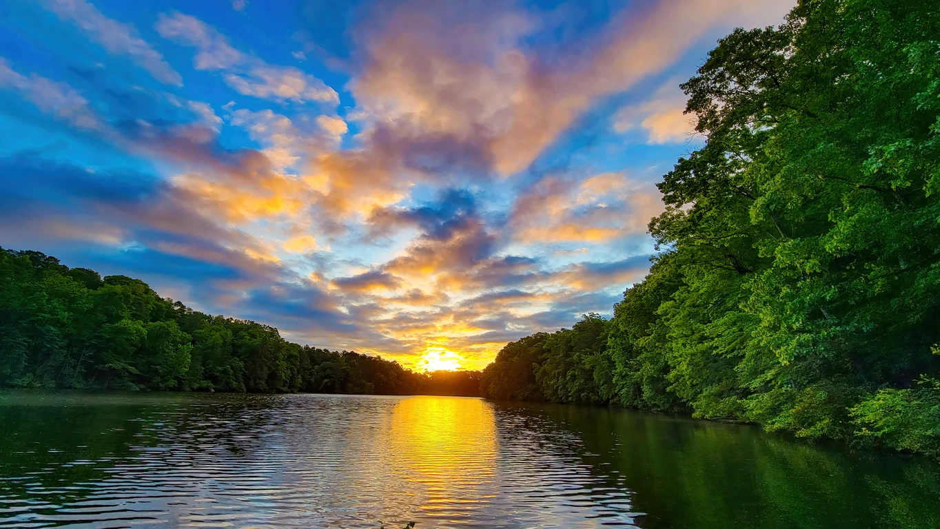 Oscar Scherer State Park