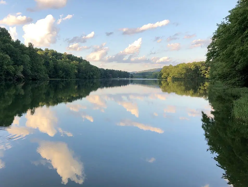 New York to New Orleans Road Trip Section Image