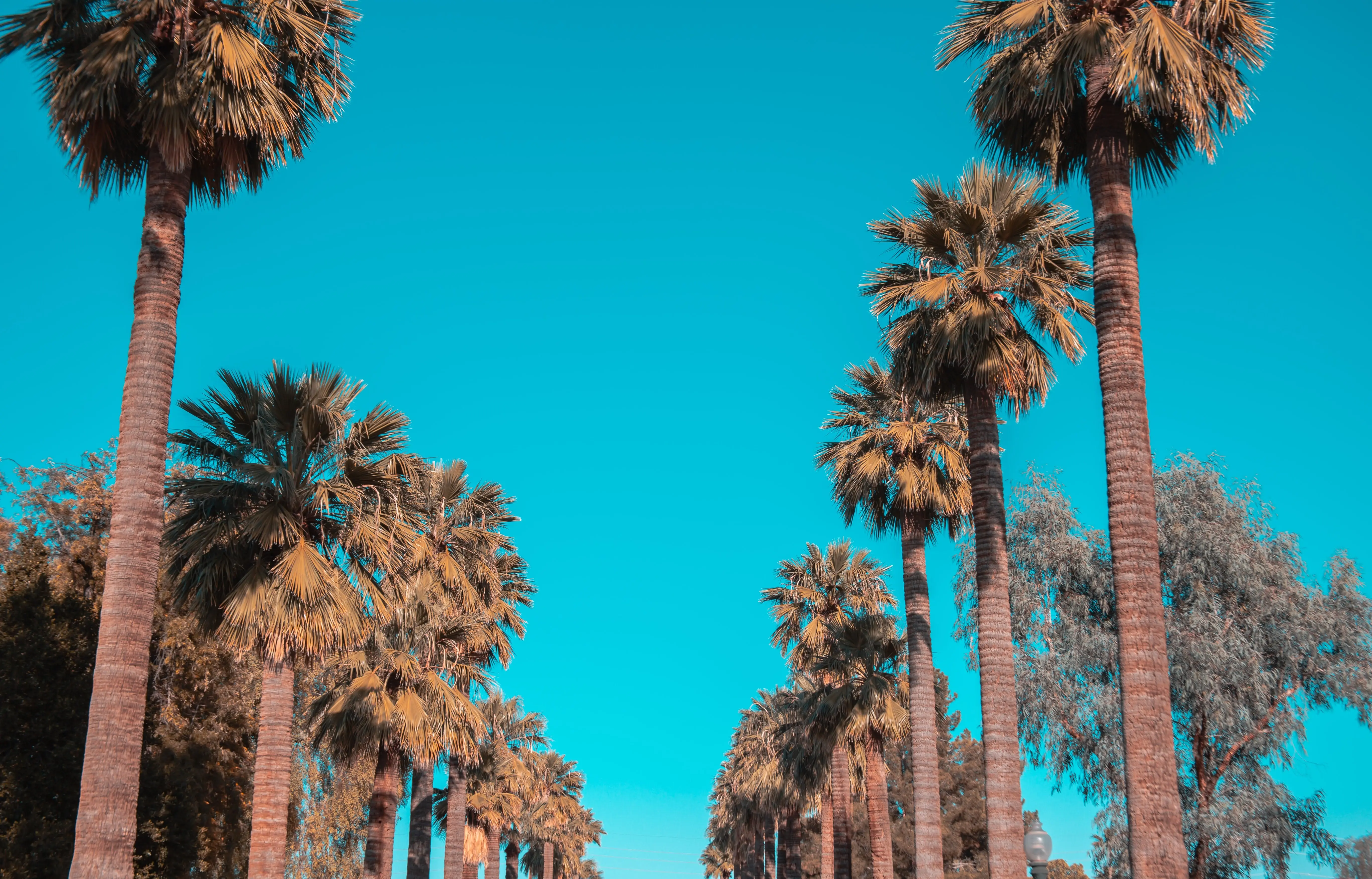 Palm Springs to Sedona Road Trip Section Image