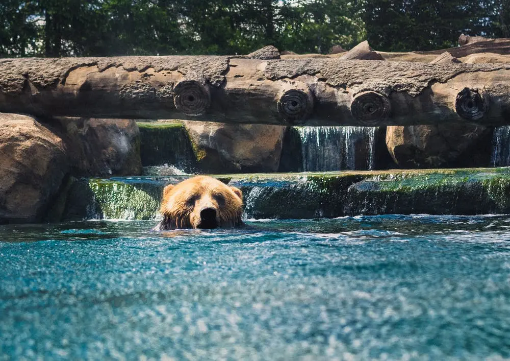 Cleveland to Nashville Road Trip Section Image