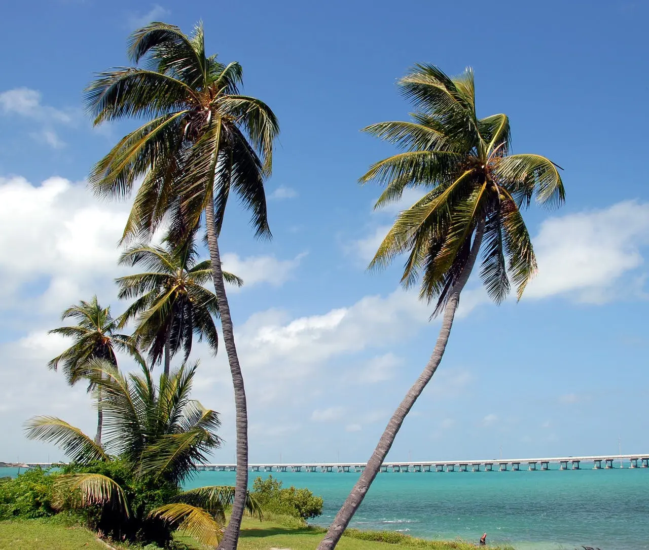 Bahia Honda State Park