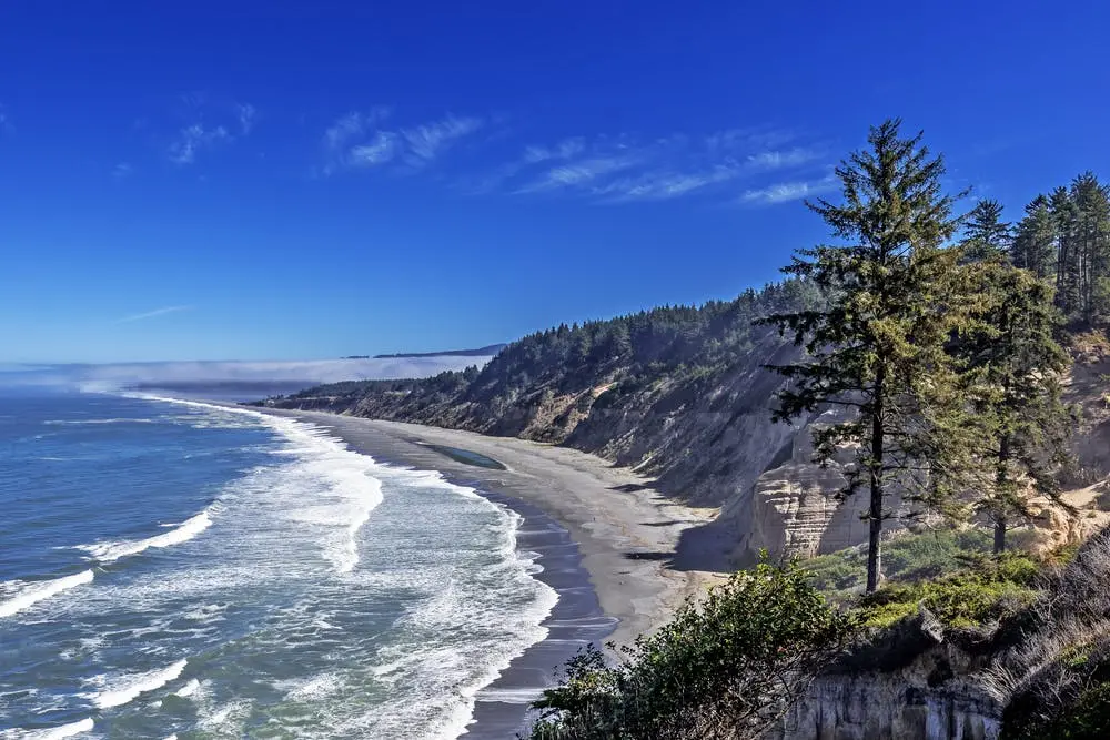 San Francisco to Redwood National Park  Road Trip Section Image