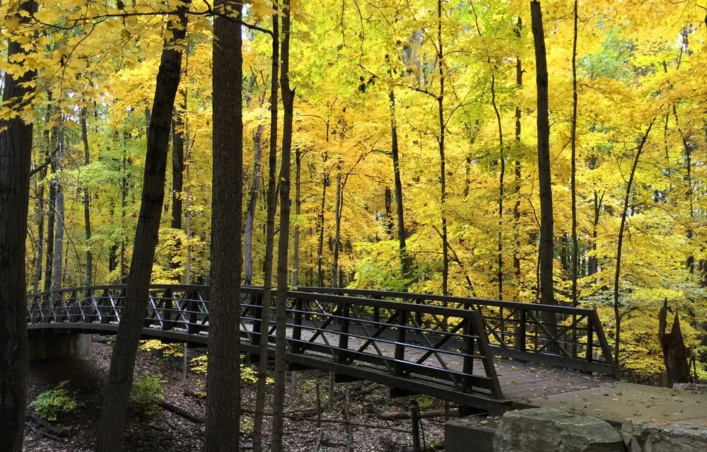 Minneapolis to Erie Road Trip Section Image