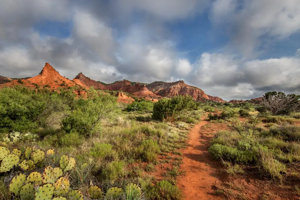 Denver to Pensacola Road Trip Section Image