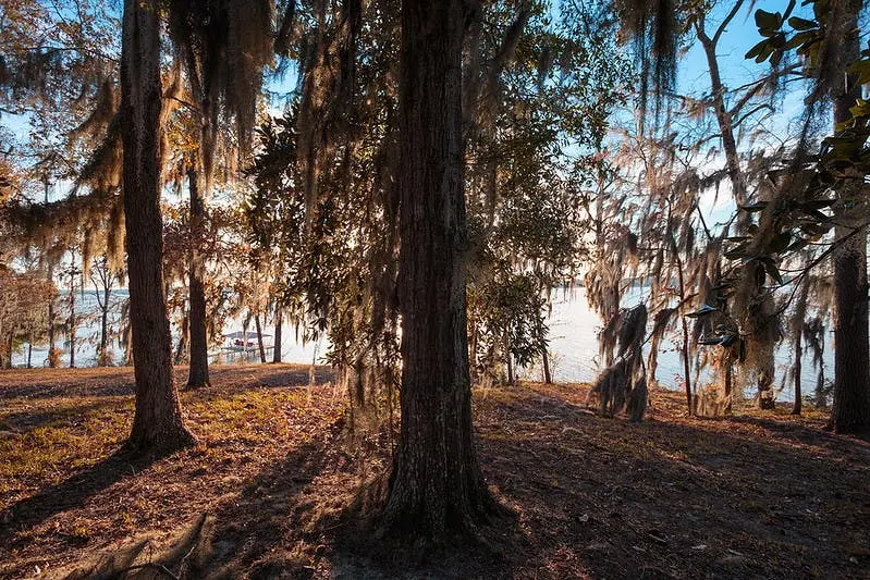 Atlanta to Panama City Beach Road Trip Section Image