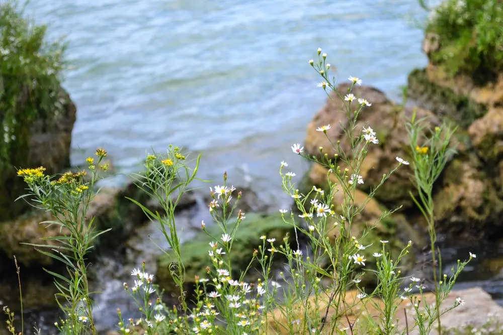 Kelleys Island State Park