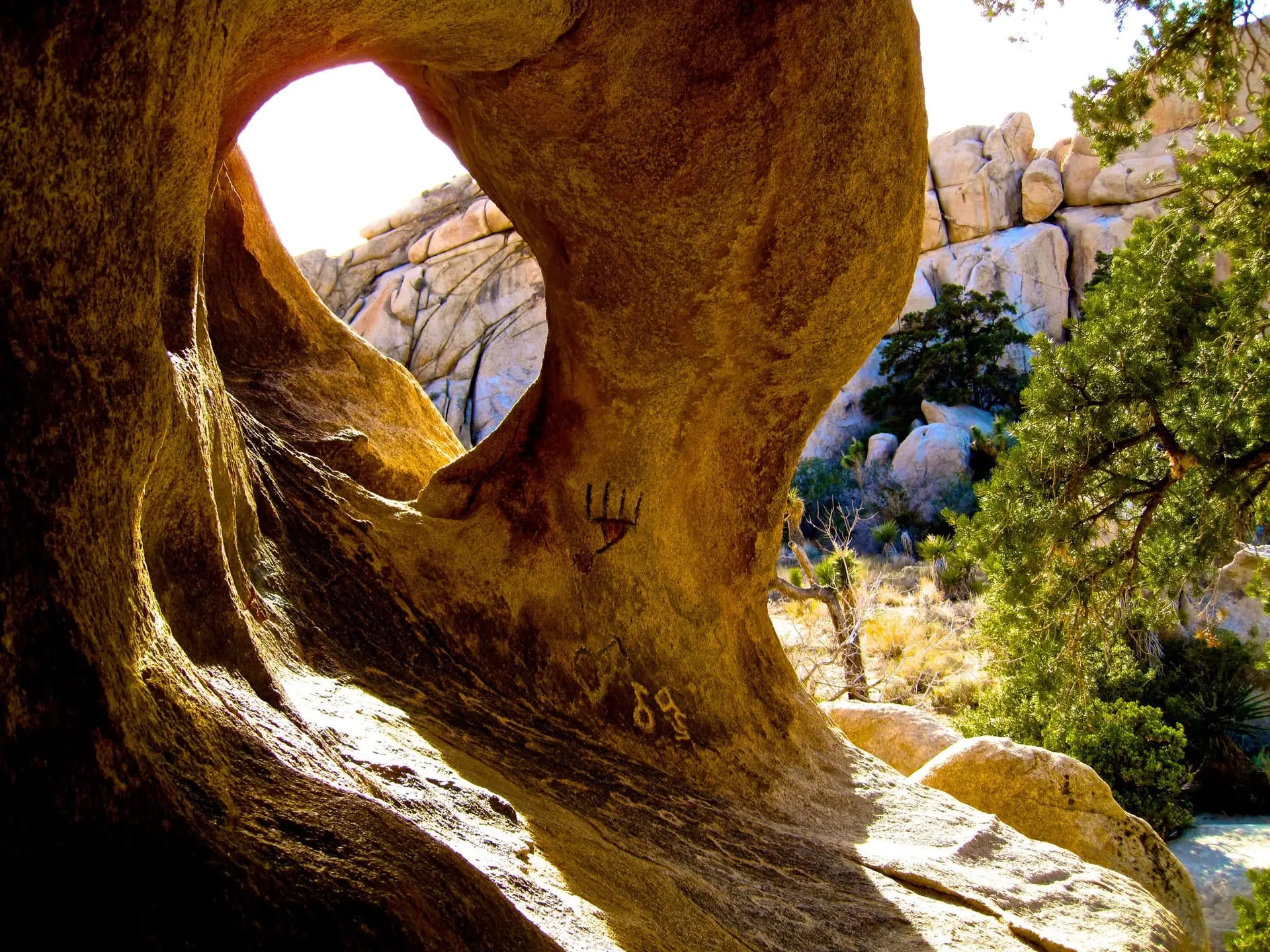 Dallas to San Diego Road Trip Section Image