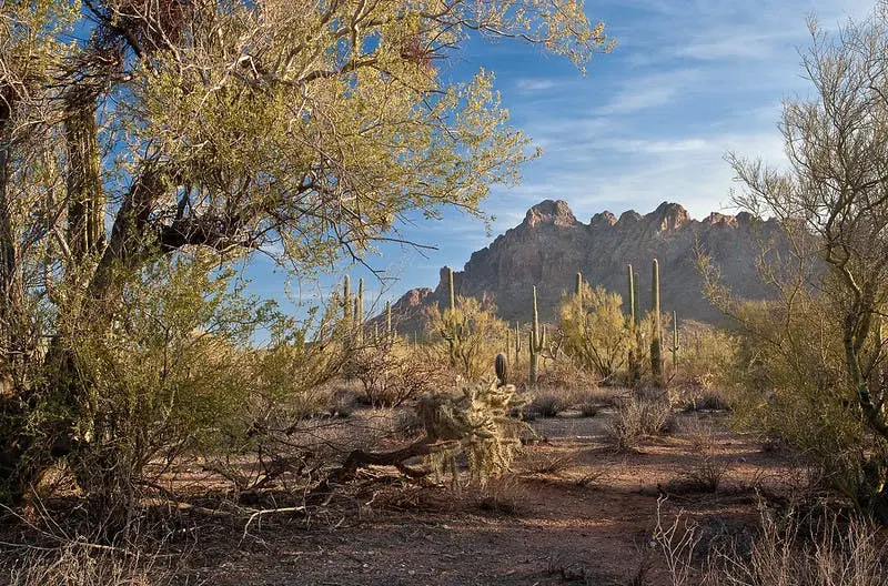San Diego to Tucson Road Trip Section Image