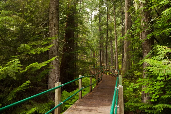Mount Revelstoke National Park Hiking Trails