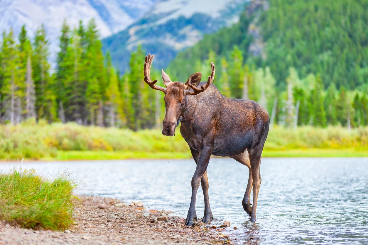 Salmon Lake State Park