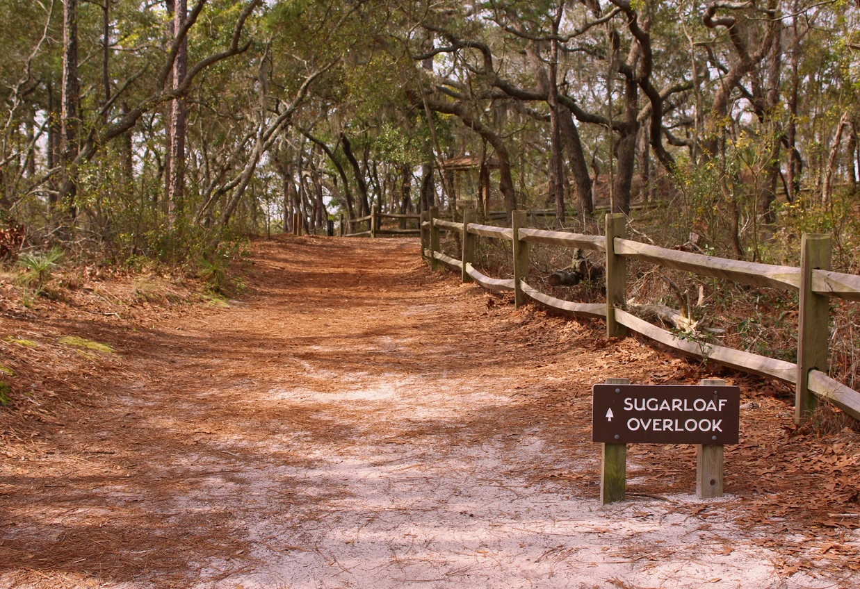 Carolina Beach State Park