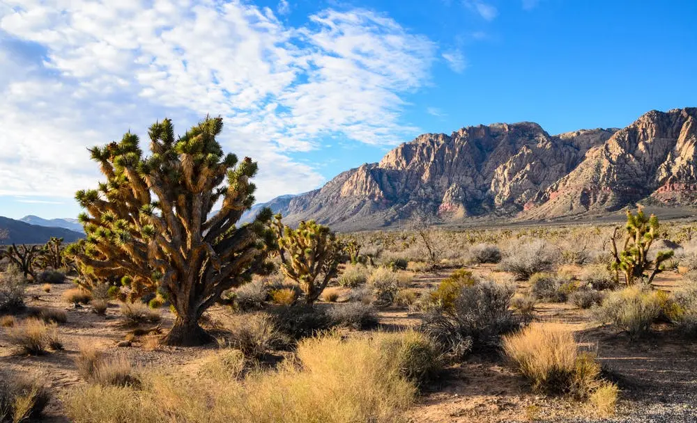 Los Angeles to Boise Road Trip Section Image