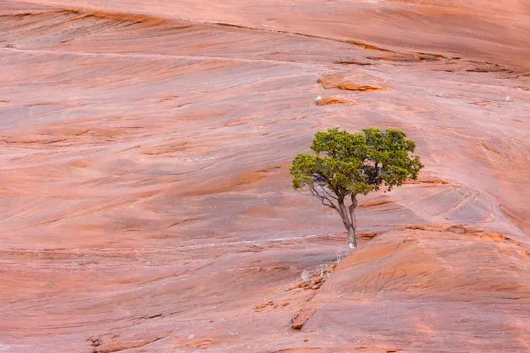 Phoenix to Albuquerque Road Trip Section Image