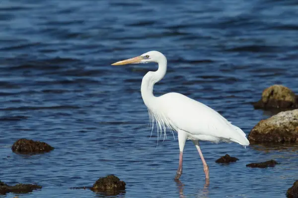 How to get to Biscayne National Park