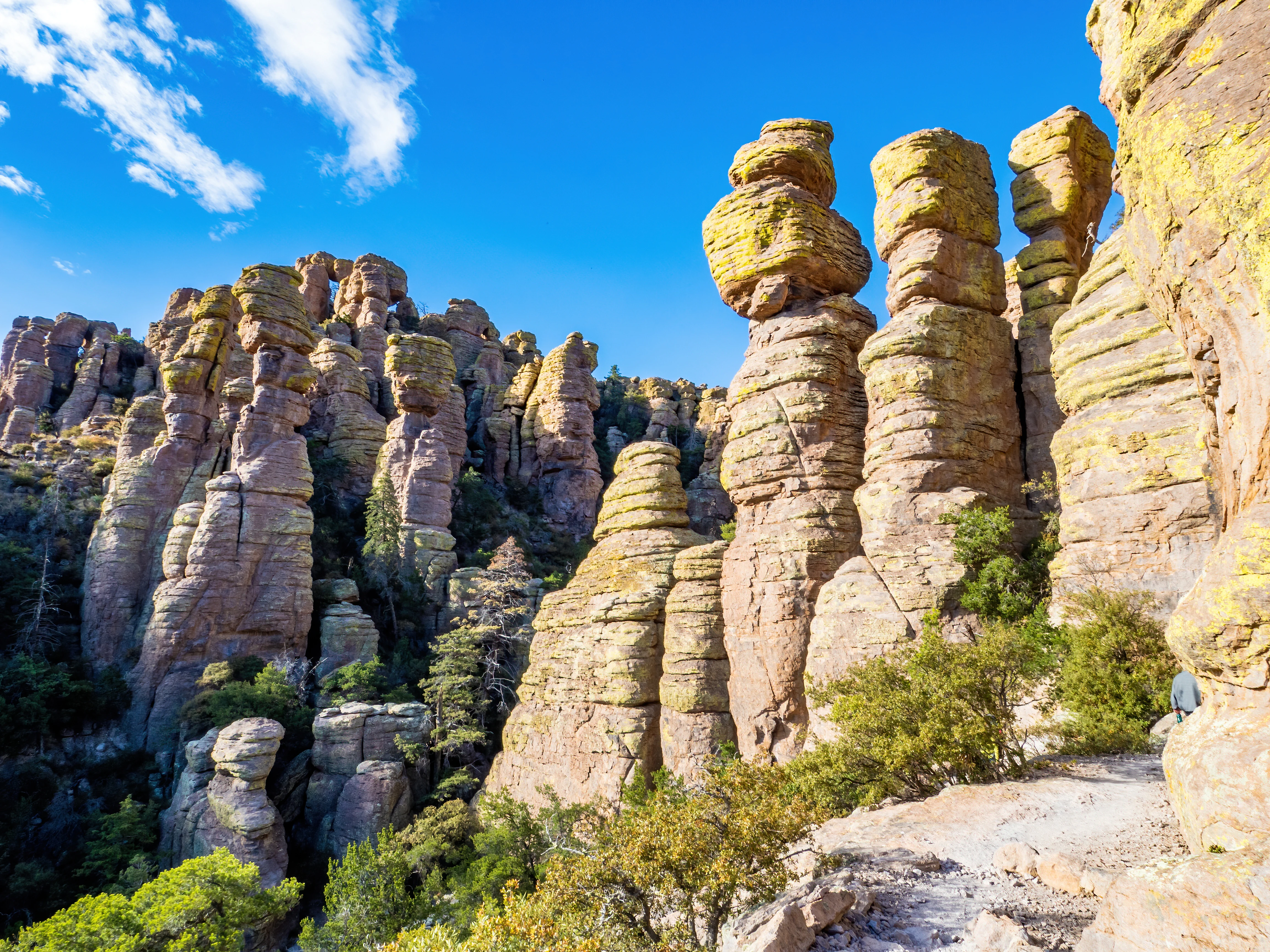 Chiricahua National Park