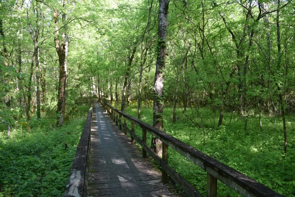 Natchez Trace Trail