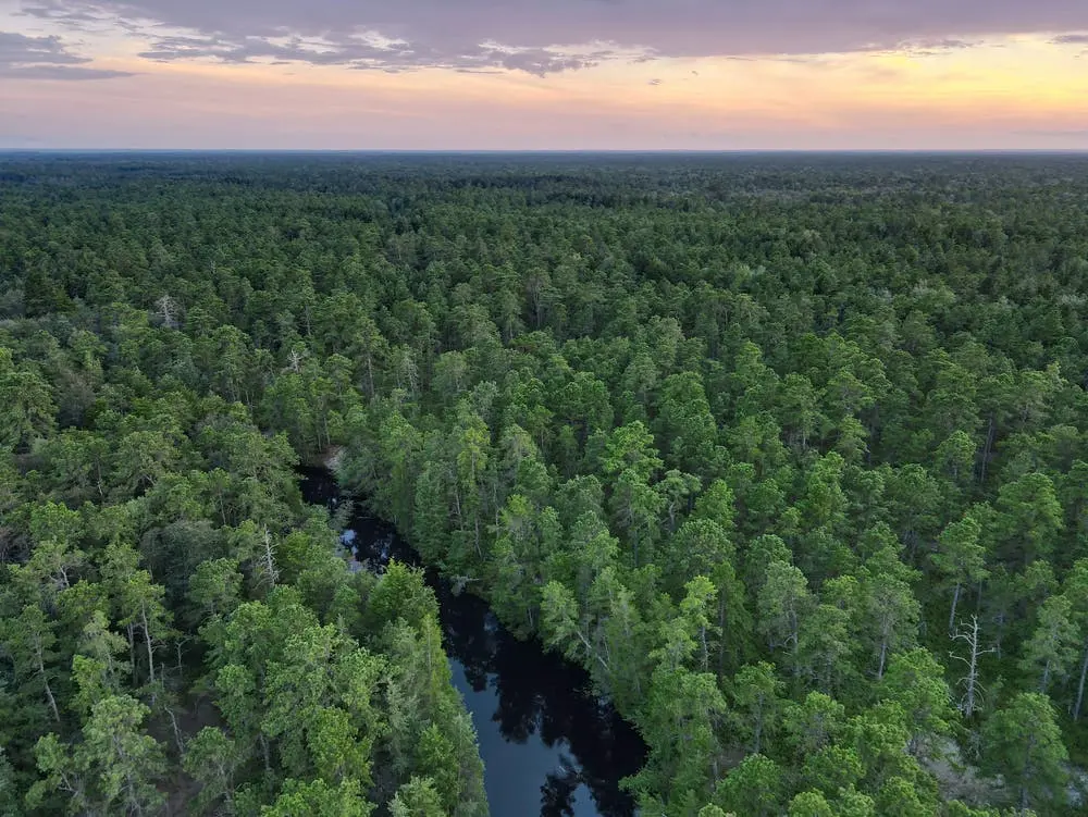 New Jersey Pinelands National Reserve