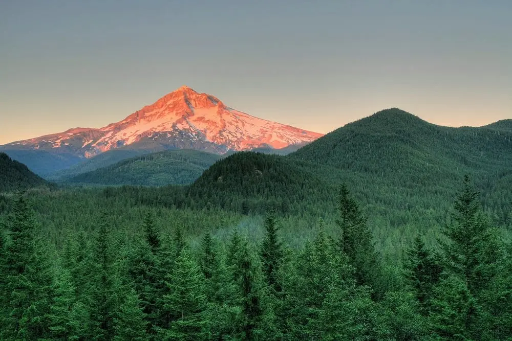 Mount Hood National Forest