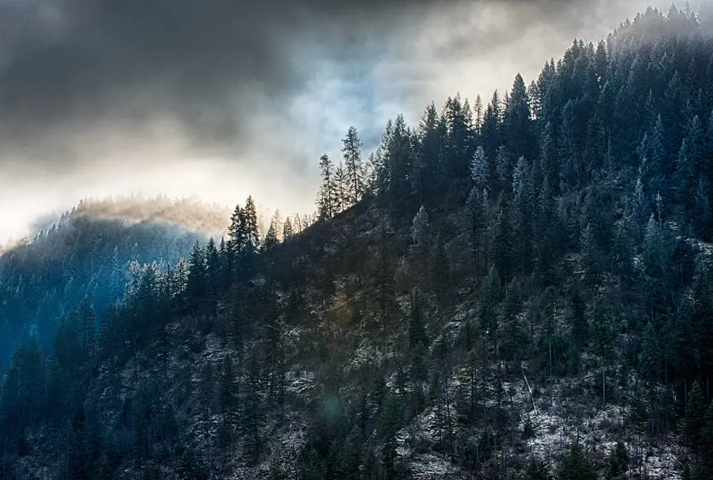 Idaho Panhandle National Forests