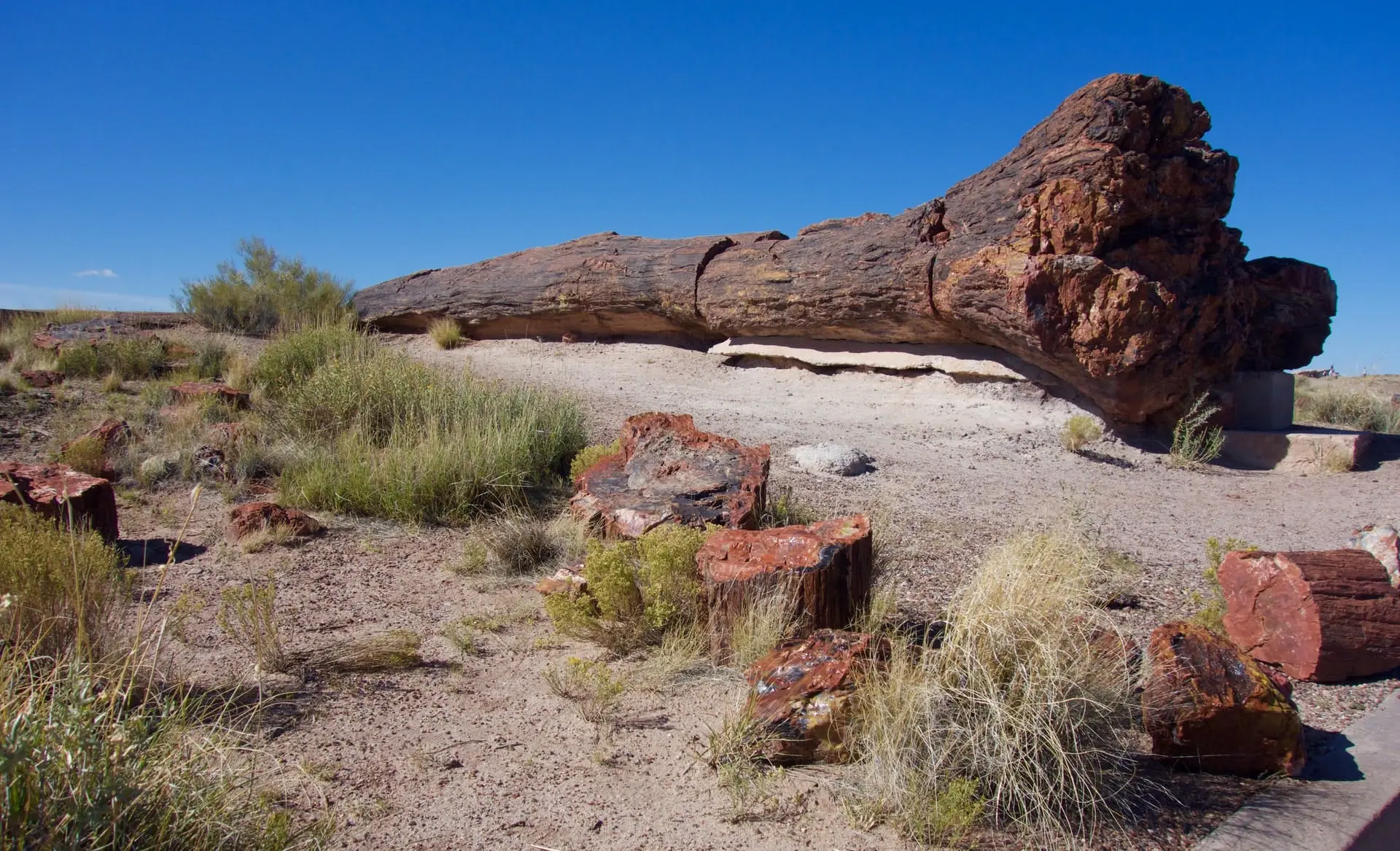 Springfield to San Diego Road Trip Section Image