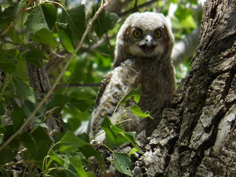 Dallas to El Paso Road Trip Section Image