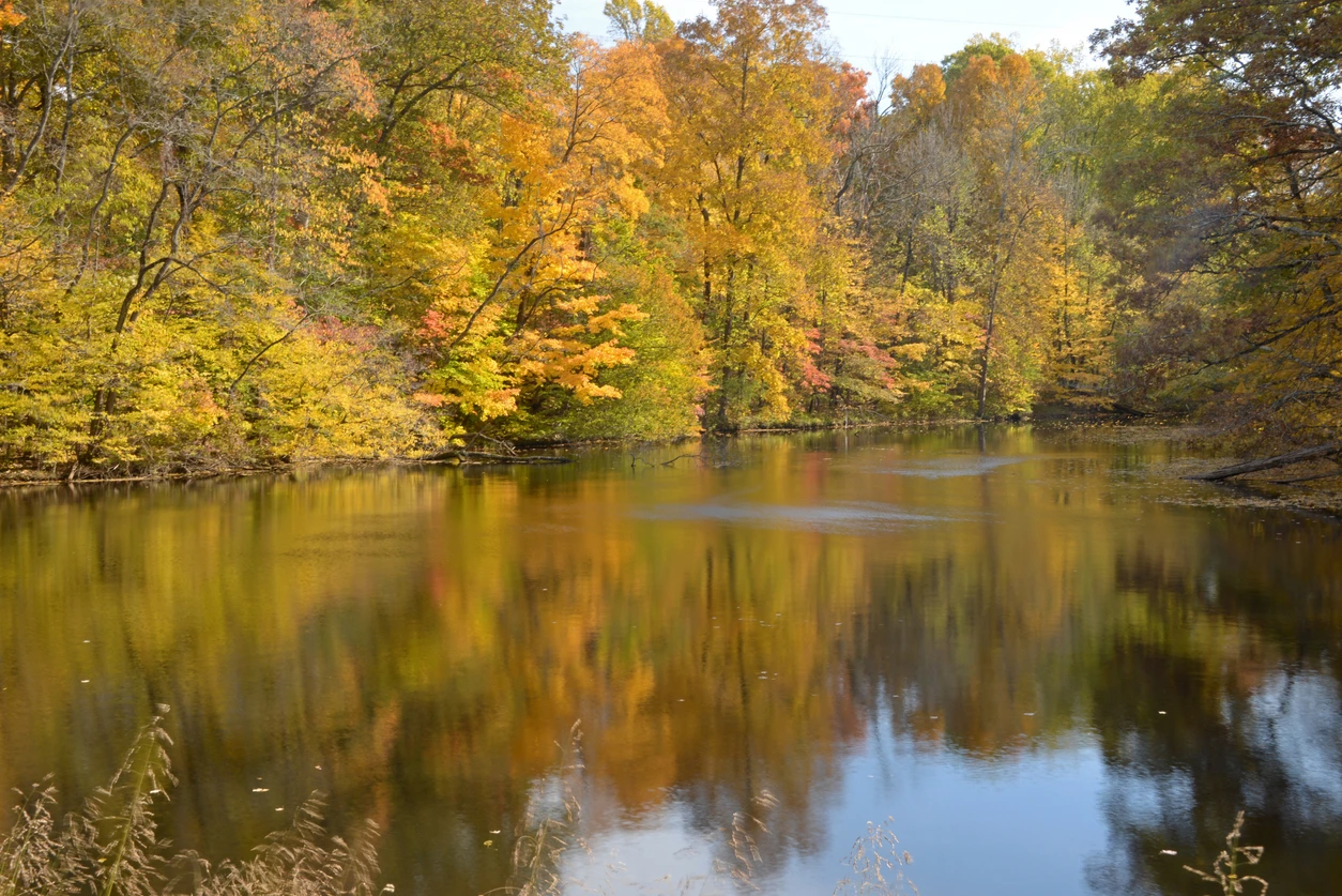 Shades State Park