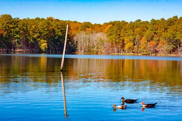 New Orleans to Memphis  Road Trip Section Image