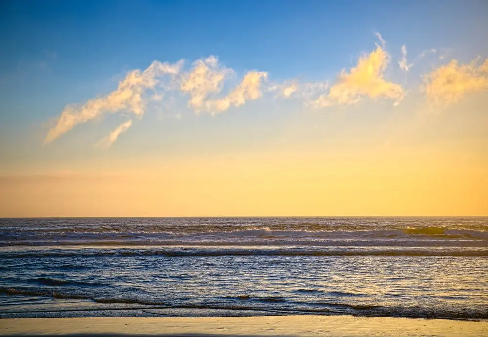 Seattle to Eureka Road Trip Section Image