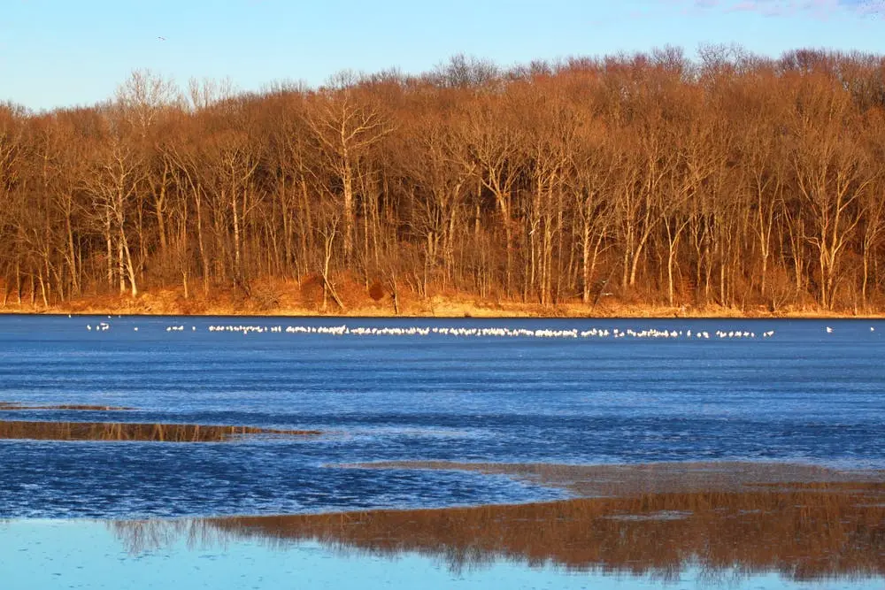 Weldon Springs State Park