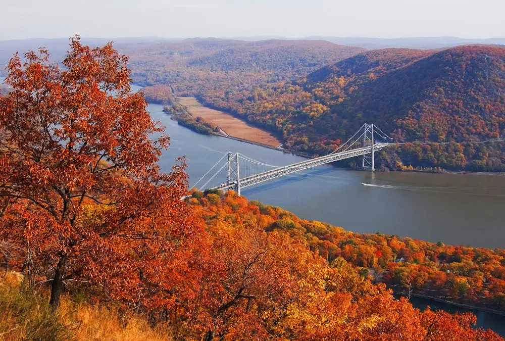 Wilmington to Newport Road Trip Section Image