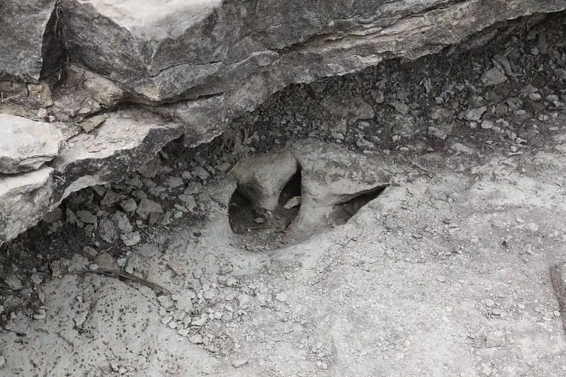 Dallas to Denver Road Trip Section Image