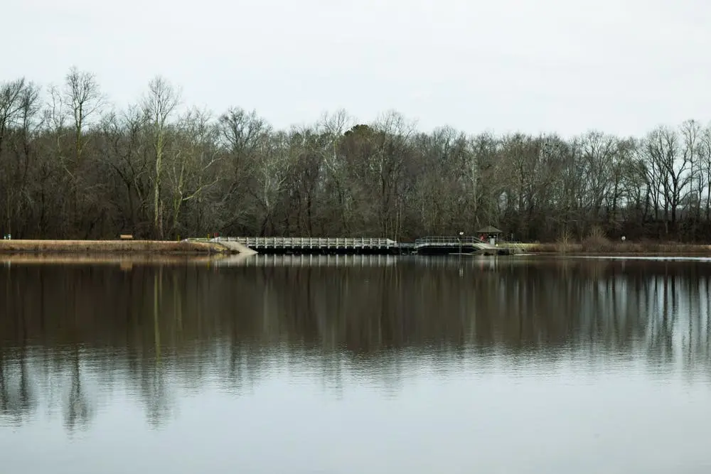 Tuckahoe State Park