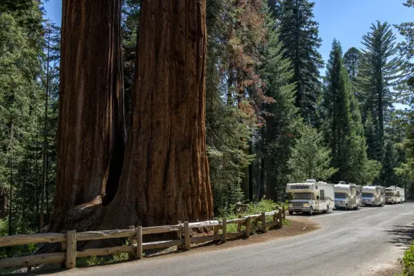 RV Resorts & Campsites near Sequoia National Park