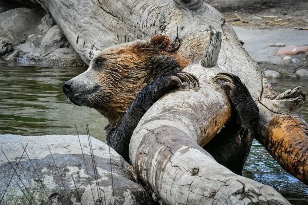 Provo to Rapid City Road Trip Section Image