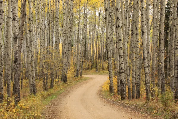 Prince Albert National Park Hiking Trails