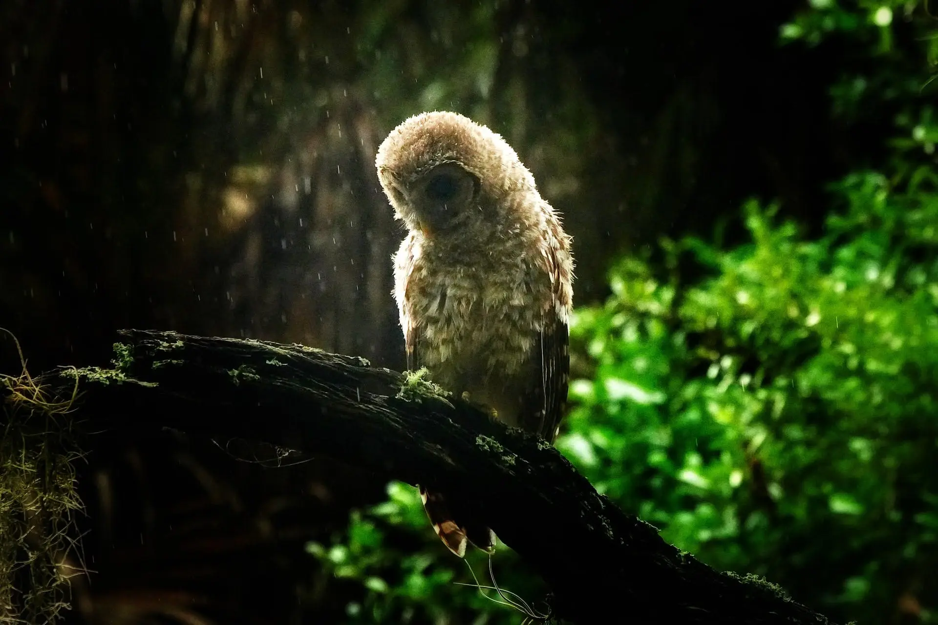 Tampa to Fort Lauderdale Road Trip Section Image