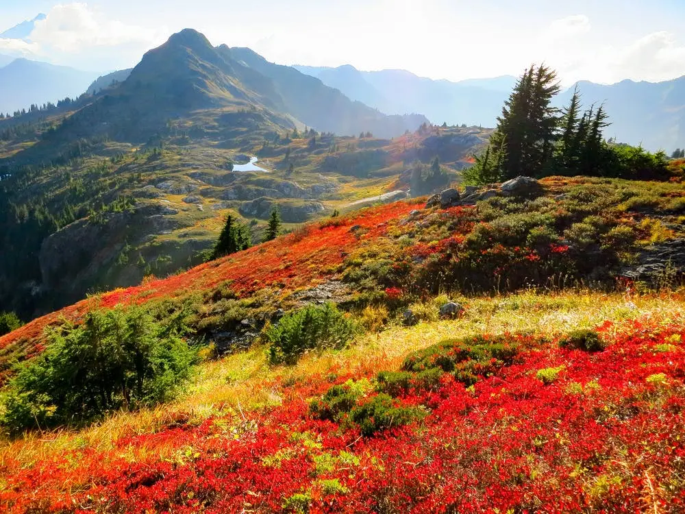 Lake Chelan National Recreation Area