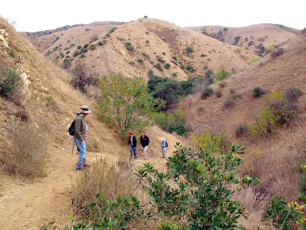 Los Angeles to Phoenix Road Trip Section Image
