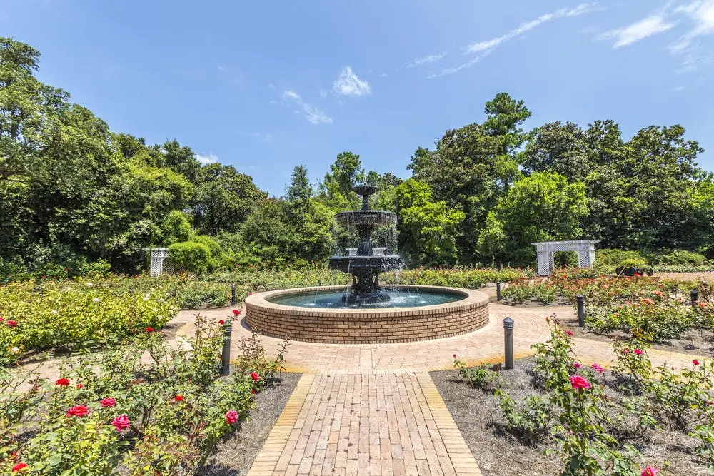 Tampa to Jackson Road Trip Section Image